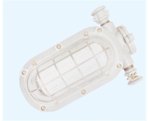日照矿用隔爆型LED支架灯